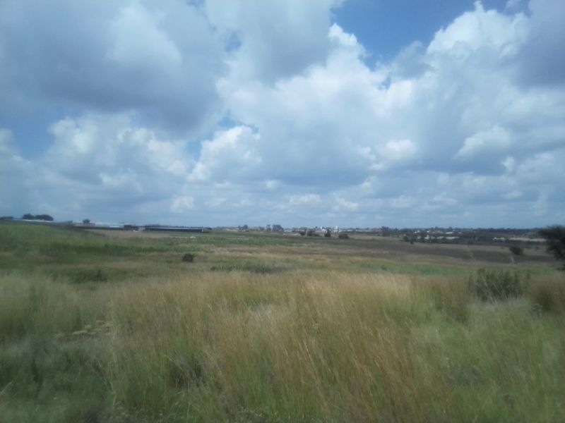 12 HECTARES AGRICULTURE FARMING LAND FOR RENTAL - Photo 4