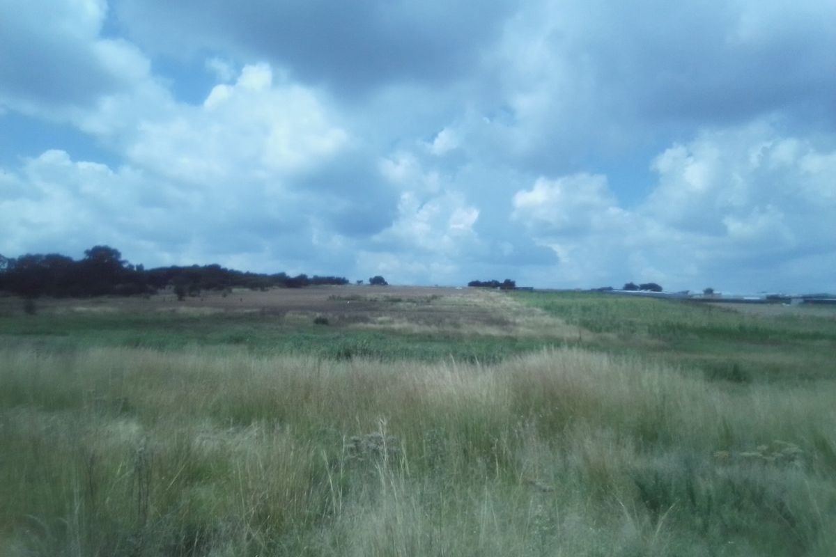 12 HECTARES AGRICULTURE FARMING LAND FOR RENTAL - Photo 5