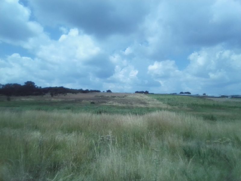 12 HECTARES AGRICULTURE FARMING LAND FOR RENTAL - Photo 5