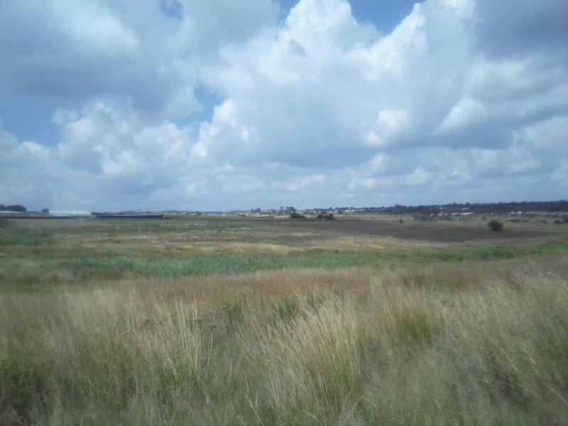 12 HECTARES AGRICULTURE FARMING LAND FOR RENTAL - Photo 10