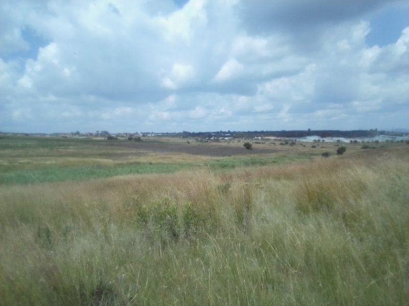 12 HECTARES AGRICULTURE FARMING LAND FOR RENTAL - Photo 9