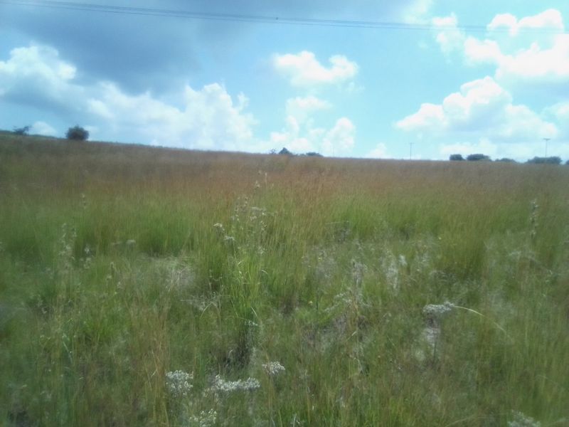 12 HECTARES AGRICULTURE FARMING LAND FOR RENTAL - Photo 8