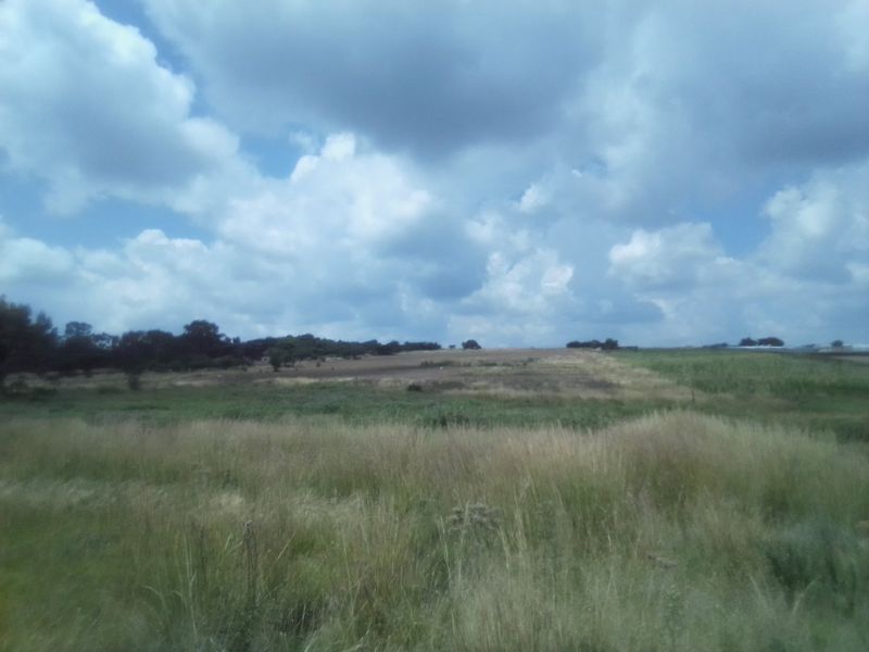 12 HECTARES AGRICULTURE FARMING LAND FOR RENTAL - Photo 7