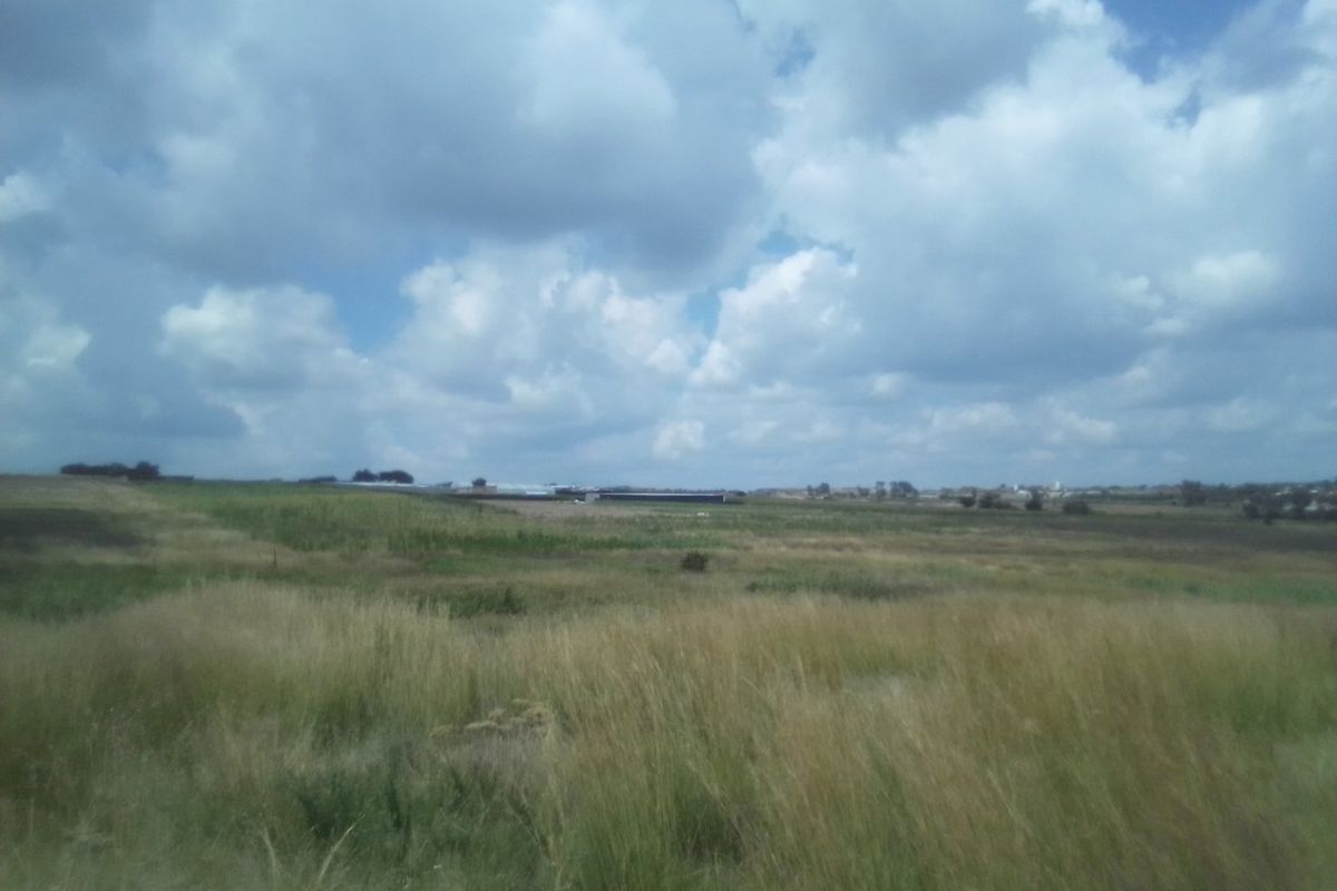 12 HECTARES AGRICULTURE FARMING LAND FOR RENTAL - Photo 3
