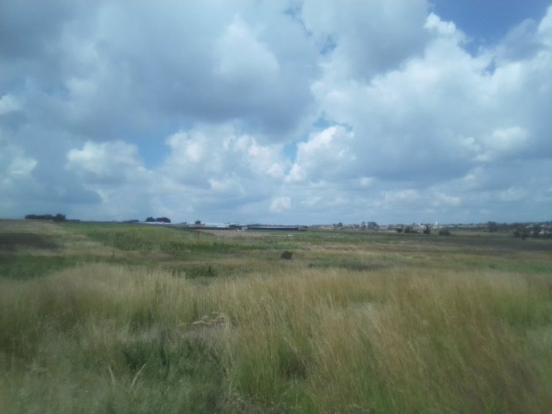 12 HECTARES AGRICULTURE FARMING LAND FOR RENTAL - Photo 3