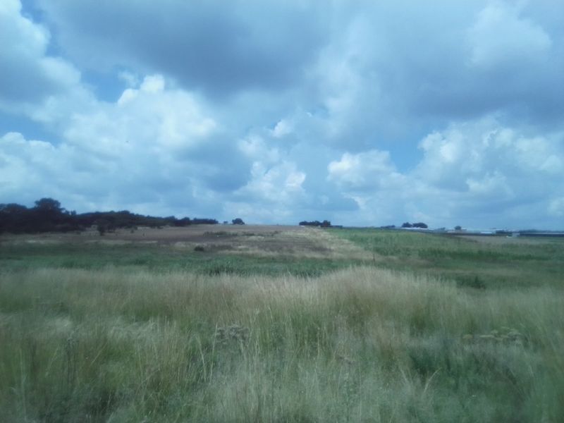 12 HECTARES AGRICULTURE FARMING LAND FOR RENTAL - Photo 6