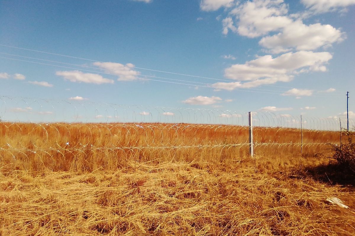 TWENTY FIVE HECTARES VACANT LAND FOR RENTAL - Photo 3