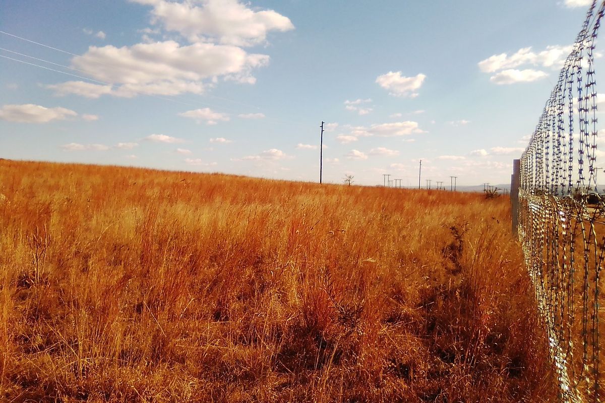 TWENTY FIVE HECTARES VACANT LAND FOR RENTAL - Photo 5