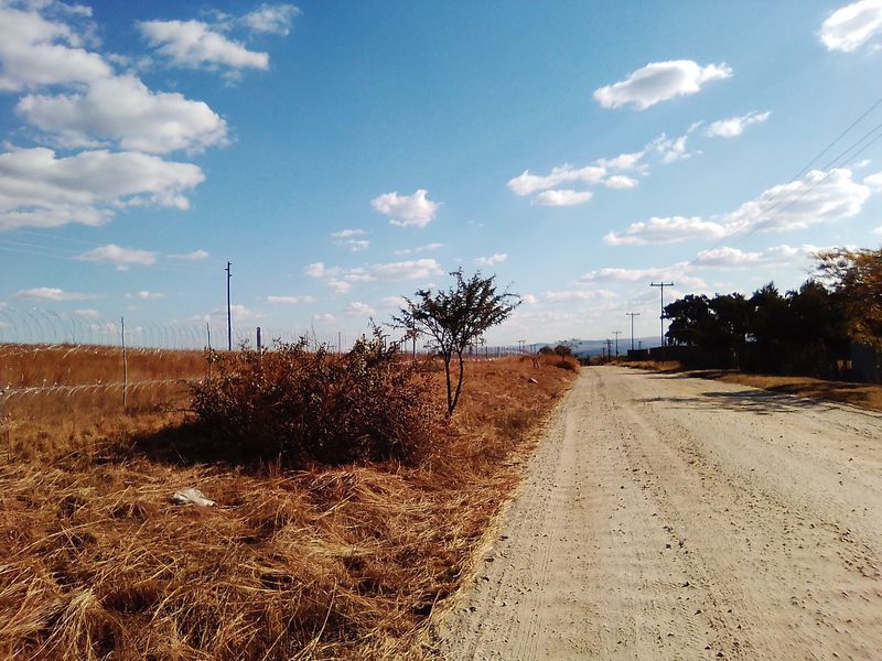 TWENTY FIVE HECTARES VACANT LAND FOR RENTAL - Photo 9
