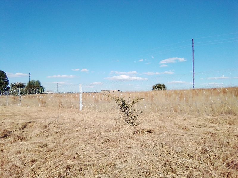 TWENTY FIVE HECTARES VACANT LAND FOR RENTAL - Photo 8