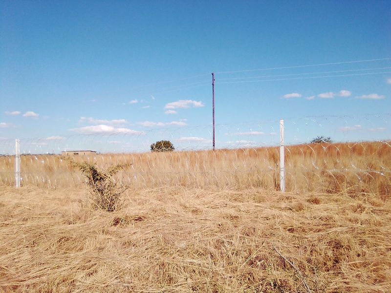 TWENTY FIVE HECTARES VACANT LAND FOR RENTAL - Photo 7