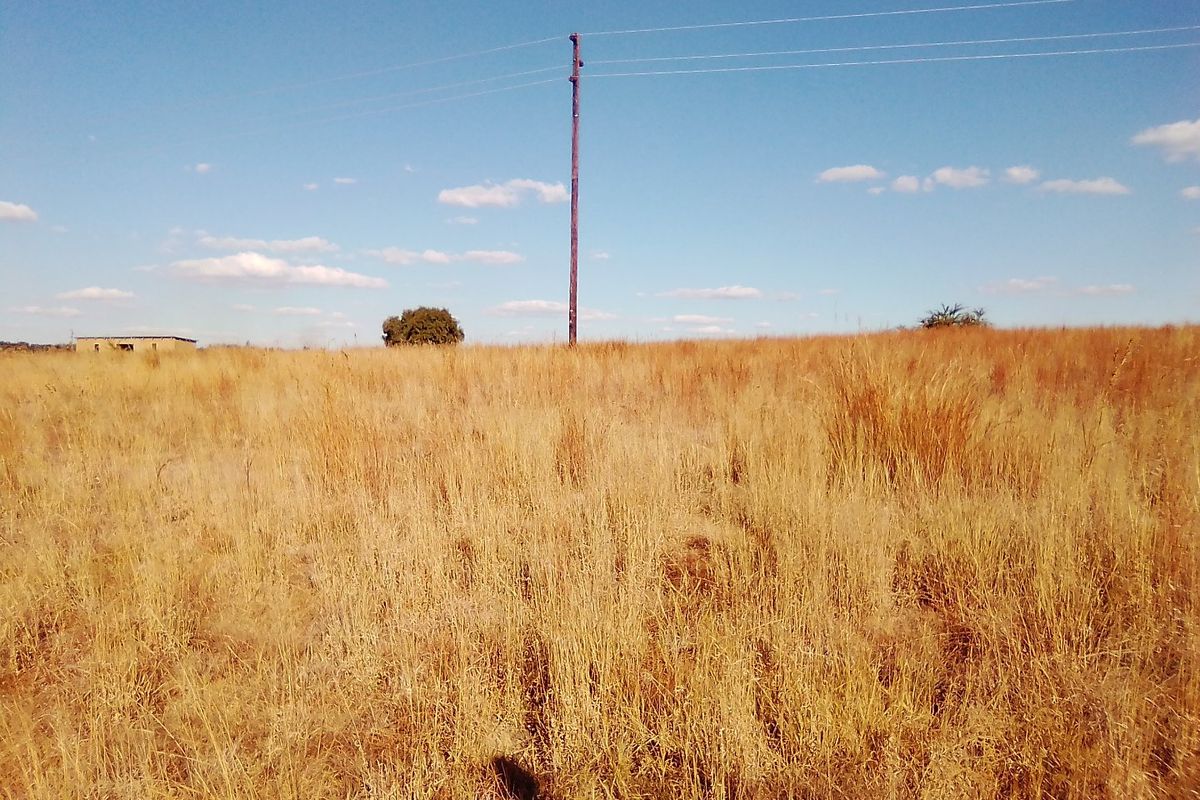 TWENTY FIVE HECTARES VACANT LAND FOR RENTAL - Photo 2