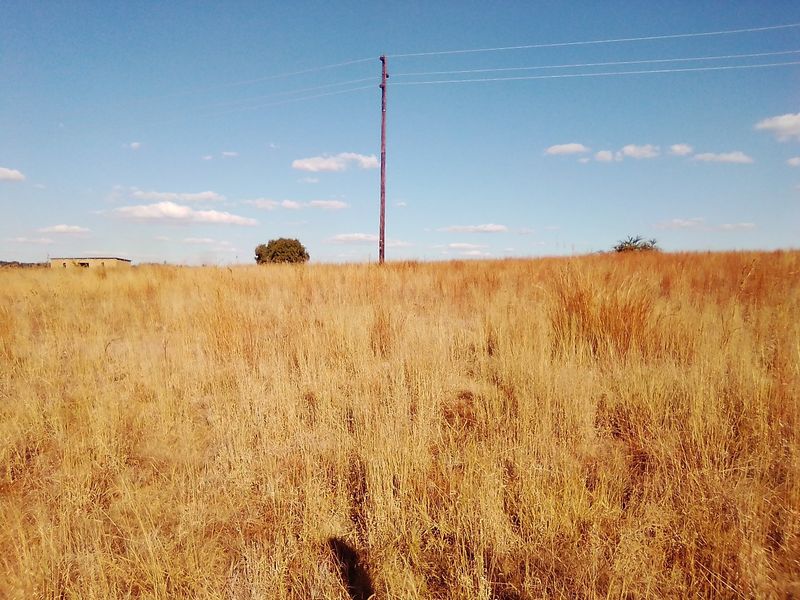 TWENTY FIVE HECTARES VACANT LAND FOR RENTAL - Photo 2
