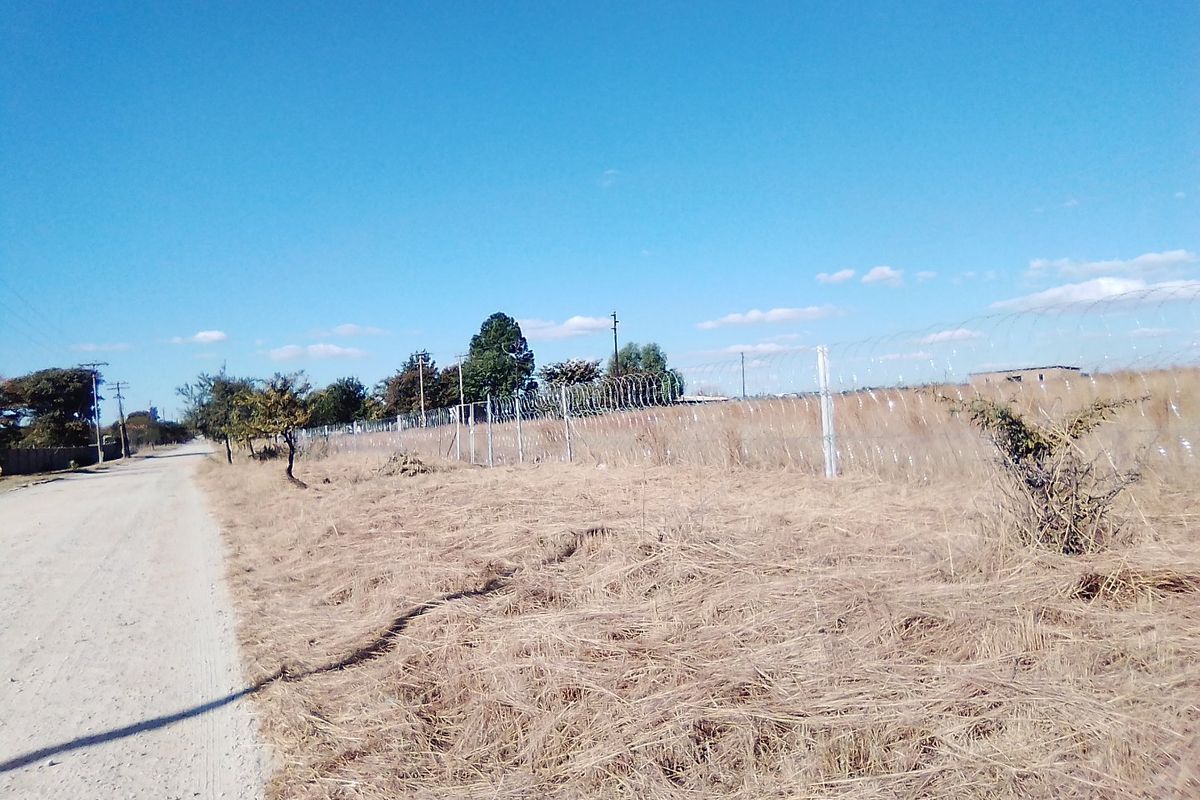 TWENTY FIVE HECTARES VACANT LAND FOR RENTAL - Photo 4