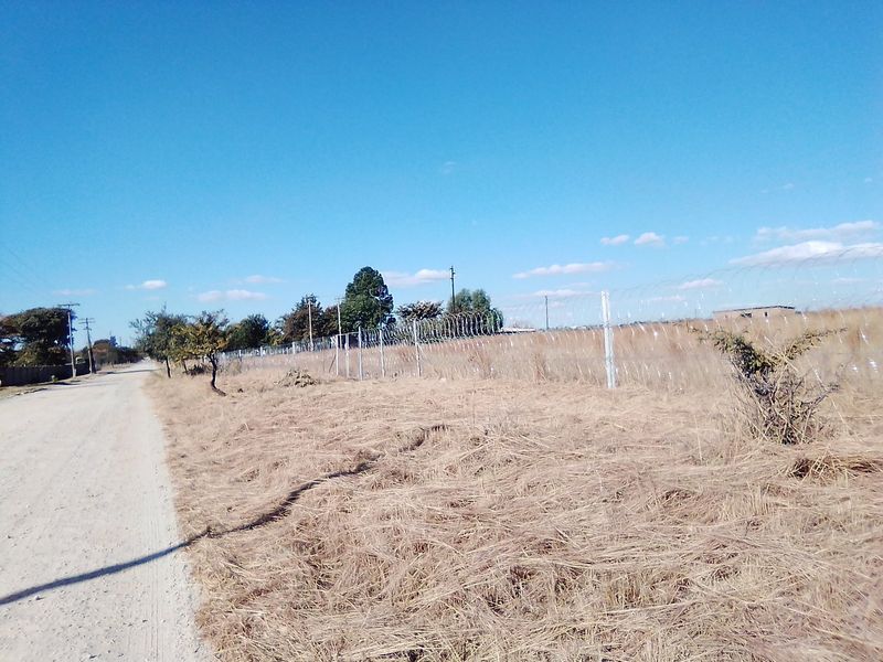 TWENTY FIVE HECTARES VACANT LAND FOR RENTAL - Photo 4