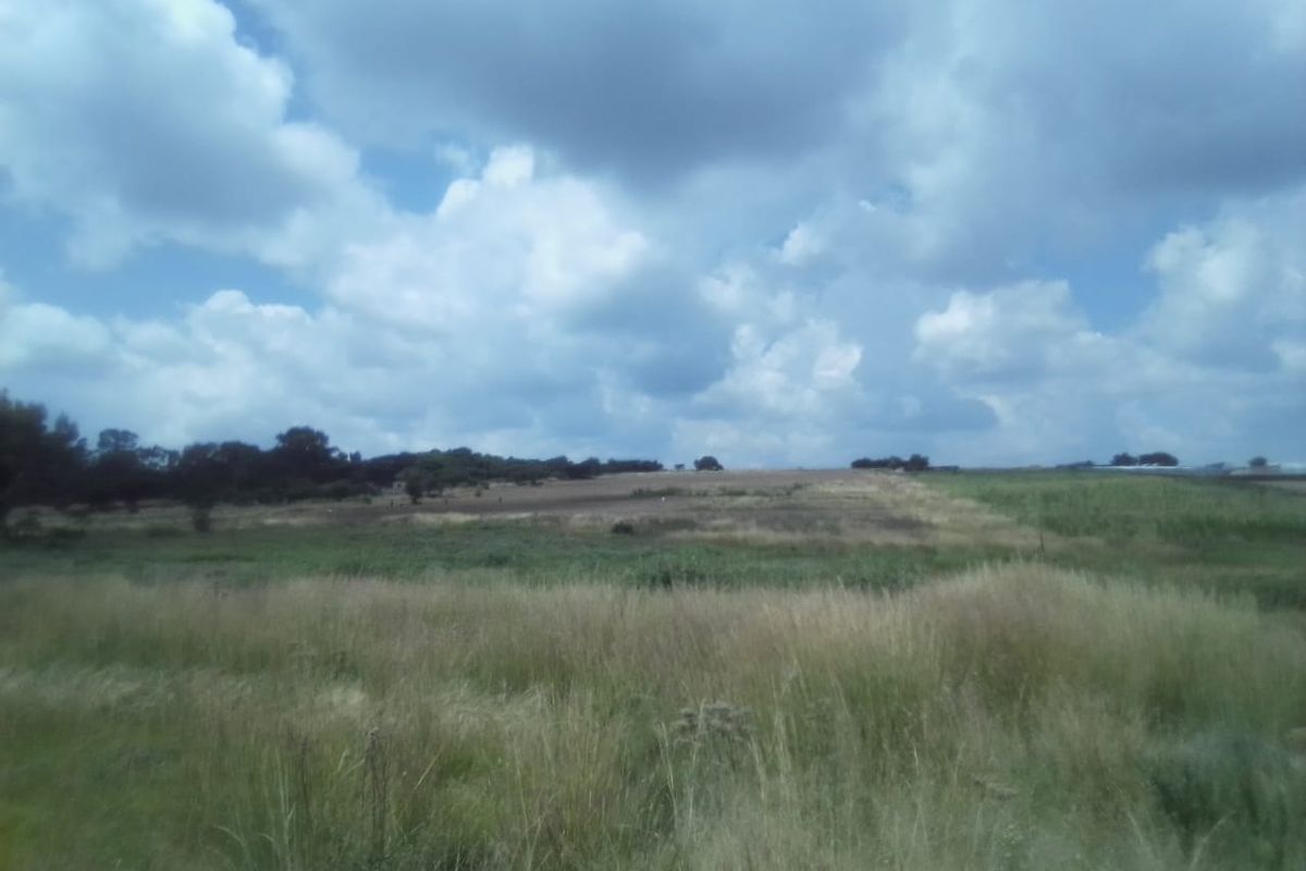 35 HECTARES VACANT LAND FOR RENTAL - Photo 2