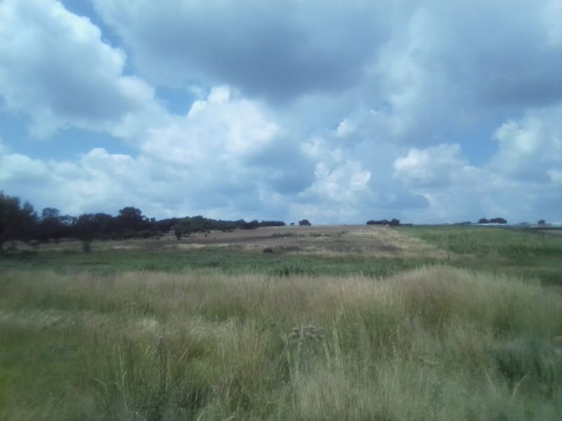 35 HECTARES VACANT LAND FOR RENTAL - Photo 2
