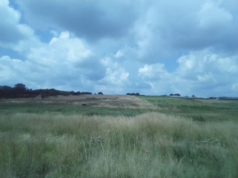 35 HECTARES VACANT LAND FOR RENTAL - Photo 8