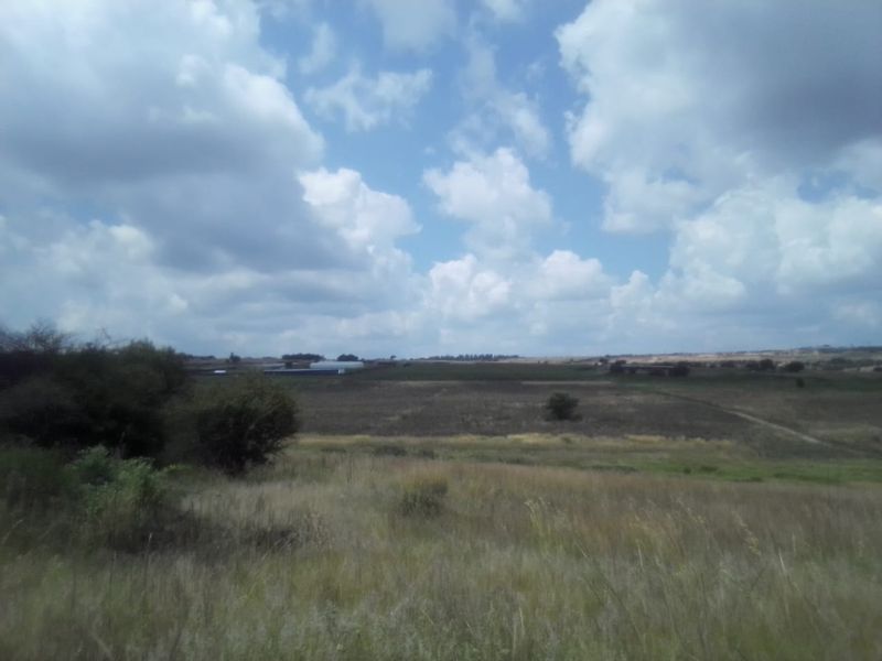 35 HECTARES VACANT LAND FOR RENTAL - Photo 6