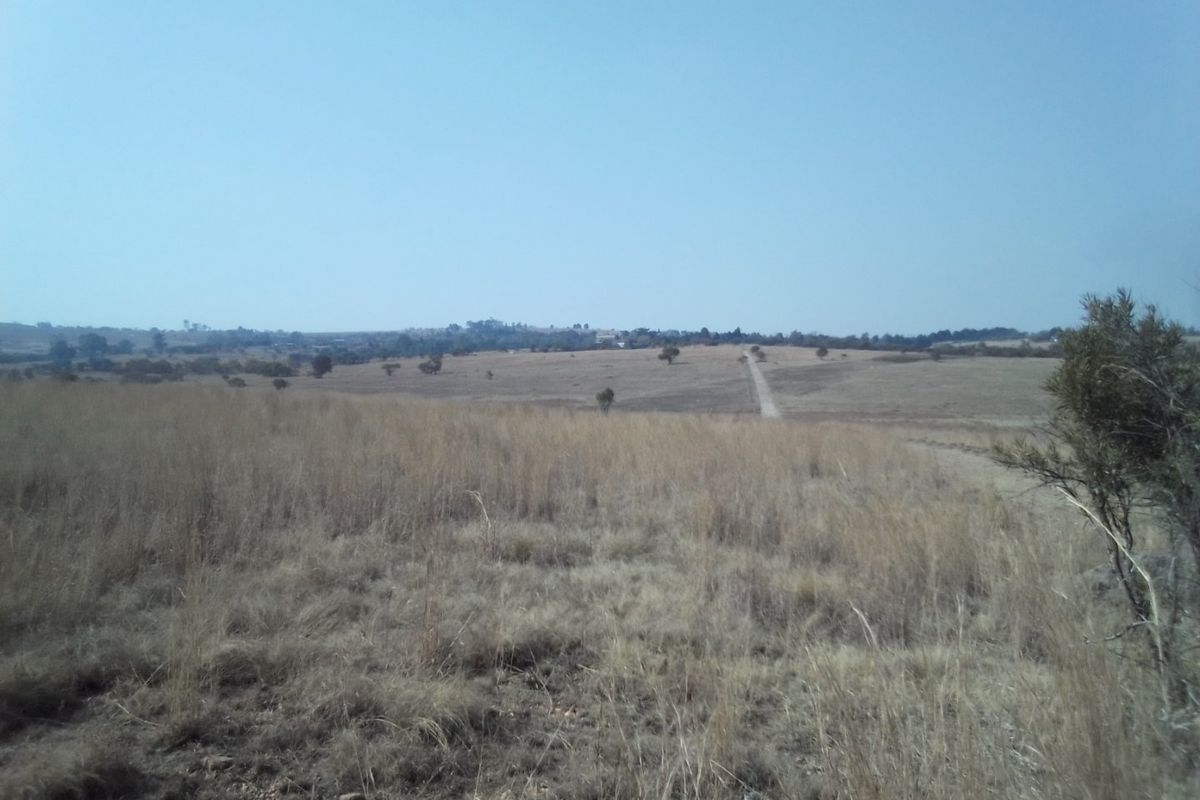 14 HECTARES VACANT LAND FOR RENTAL - Photo 2