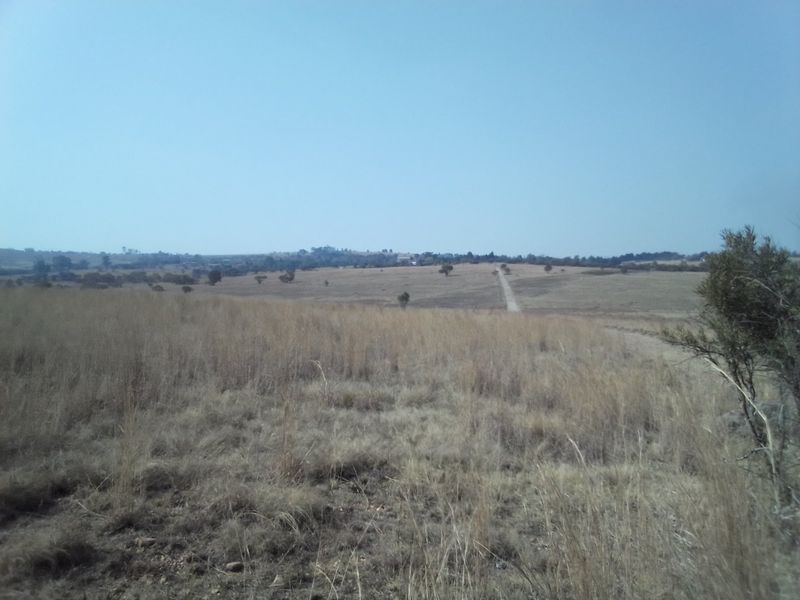 14 HECTARES VACANT LAND FOR RENTAL - Photo 2