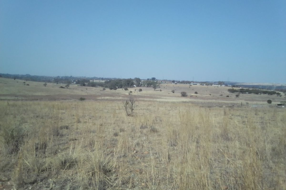 14 HECTARES VACANT LAND FOR RENTAL - Photo 3