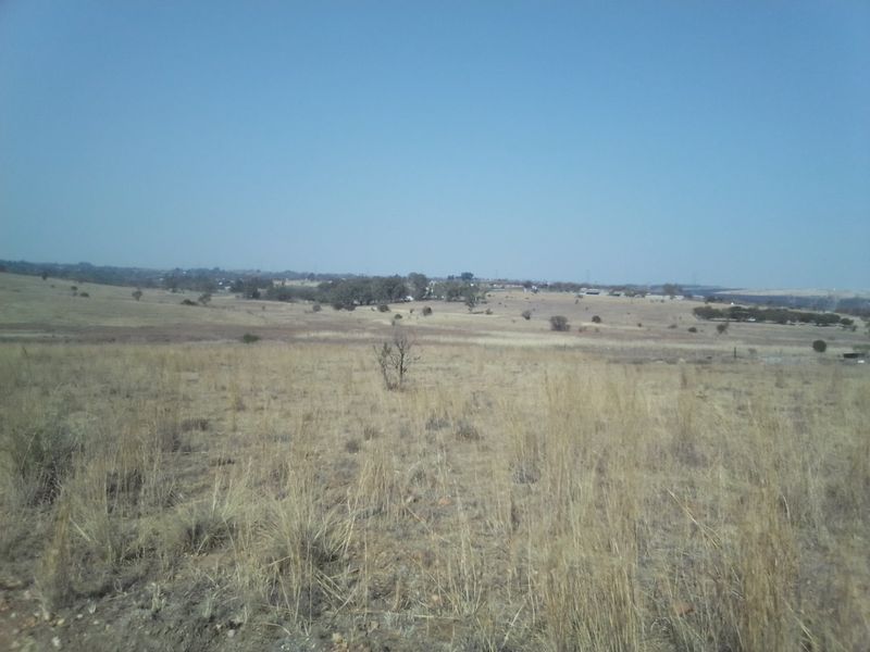 14 HECTARES VACANT LAND FOR RENTAL - Photo 3