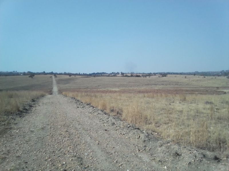 14 HECTARES VACANT LAND FOR RENTAL - Photo 10