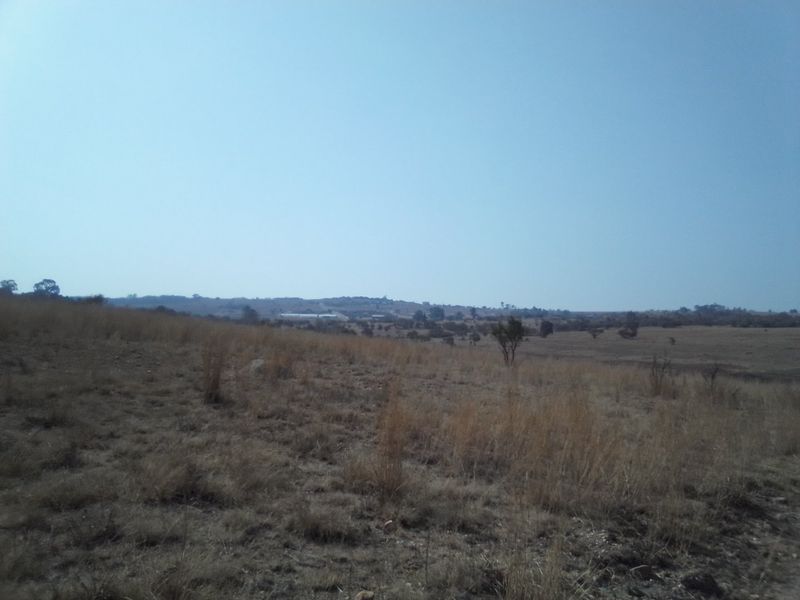 14 HECTARES VACANT LAND FOR RENTAL - Photo 9