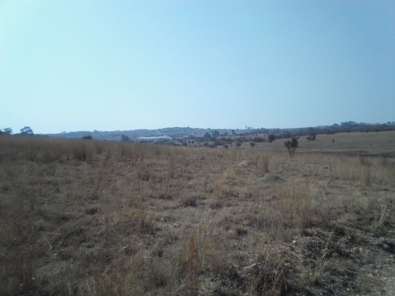 14 HECTARES VACANT LAND FOR RENTAL - Photo 8