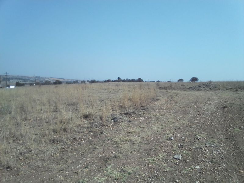 14 HECTARES VACANT LAND FOR RENTAL - Photo 7