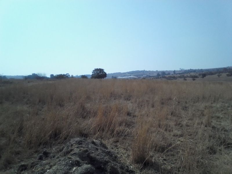 14 HECTARES VACANT LAND FOR RENTAL - Photo 6