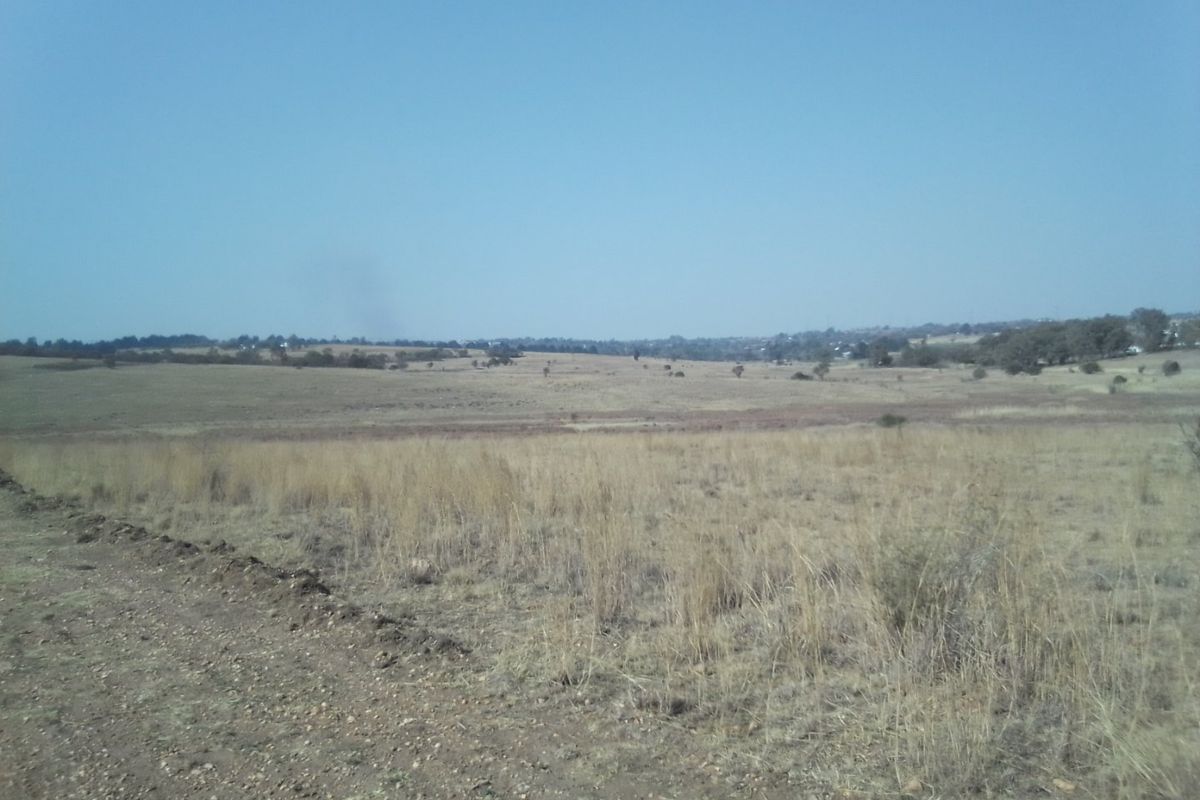 14 HECTARES VACANT LAND FOR RENTAL - Photo 5