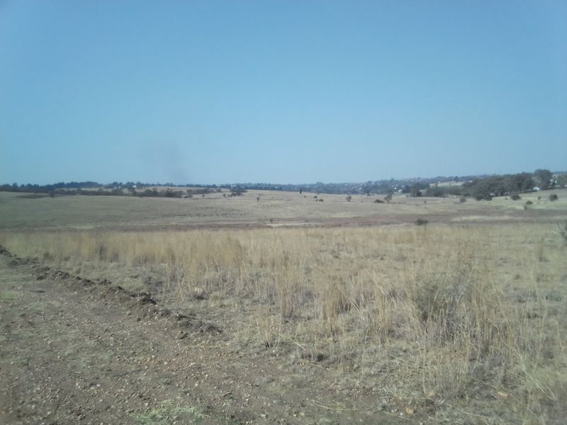 14 HECTARES VACANT LAND FOR RENTAL - Photo 5