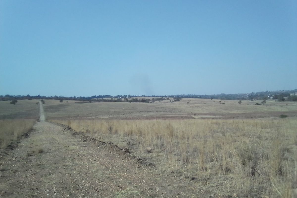 14 HECTARES VACANT LAND FOR RENTAL - Photo 4