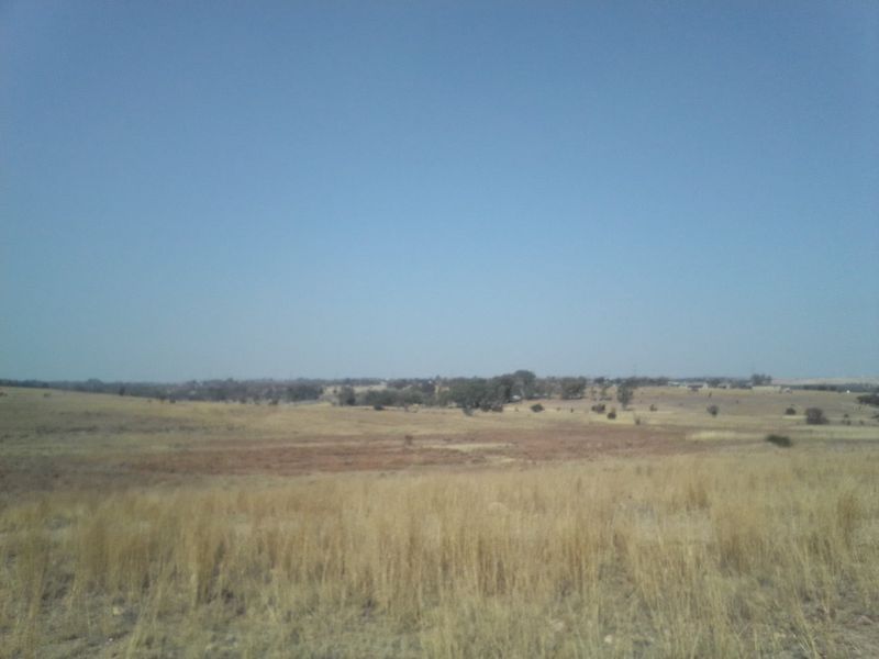 15 HECTARES VACANT LAND FOR RENTAL - Photo 10