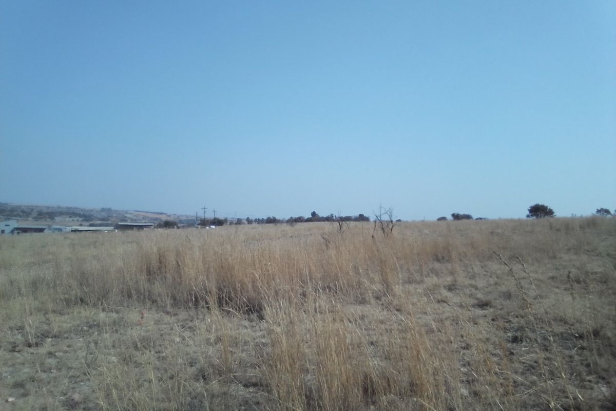 15 HECTARES VACANT LAND FOR RENTAL - Photo 3