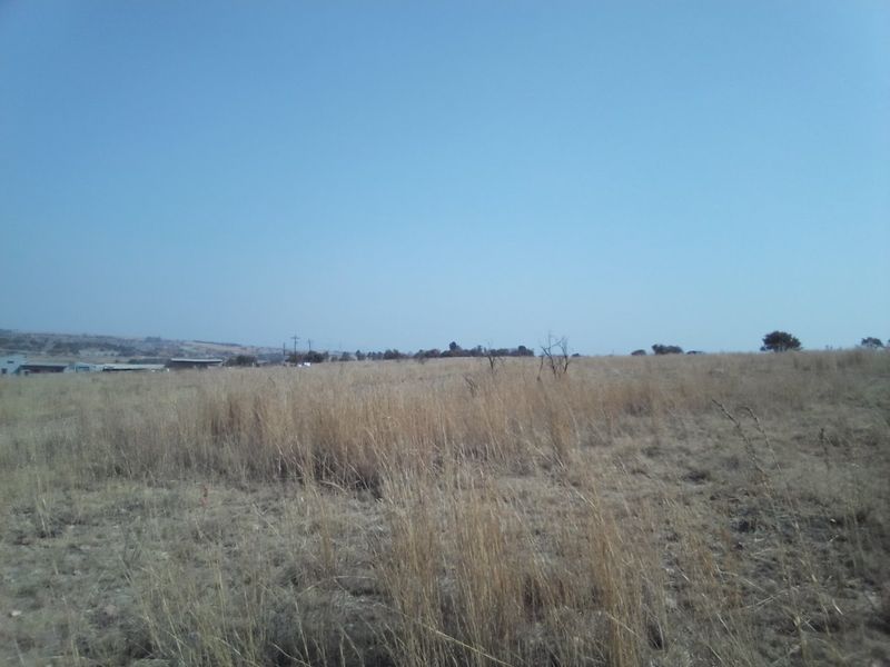 15 HECTARES VACANT LAND FOR RENTAL - Photo 3