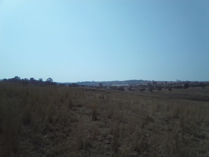 15 HECTARES VACANT LAND FOR RENTAL - Photo 7