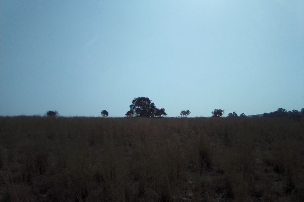 15 HECTARES VACANT LAND FOR RENTAL - Photo 5
