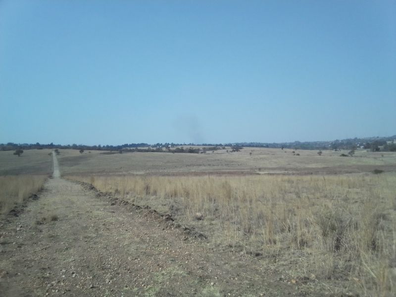 15 HECTARES VACANT LAND FOR RENTAL - Photo 2