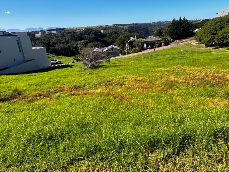 Vacant Land for Sale in Oubaai - Photo 8