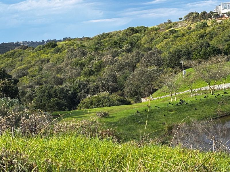 Vacant Land for Sale in Oubaai - Photo 8