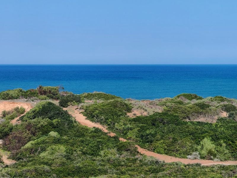 Beachfront Estate Living with Endless Ocean Views - Photo 1