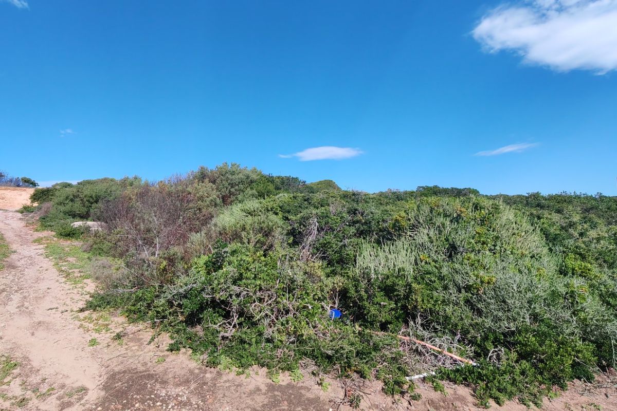 A view of a vacant residential plot featuring natural coastal vegetation and an unpaved access path under a clear blue sky.