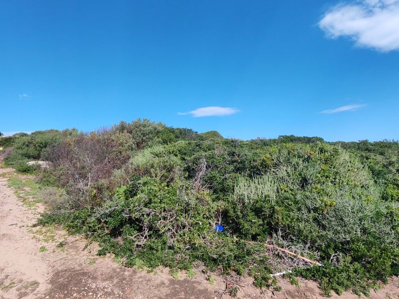 A view of a vacant residential plot featuring natural coastal vegetation and an unpaved access path under a clear blue sky.