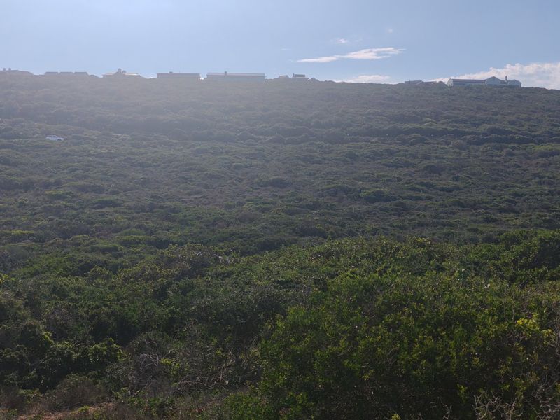 A wide-angle view of the natural landscape and surrounding hillside, showcasing the undeveloped terrain of the residential property.