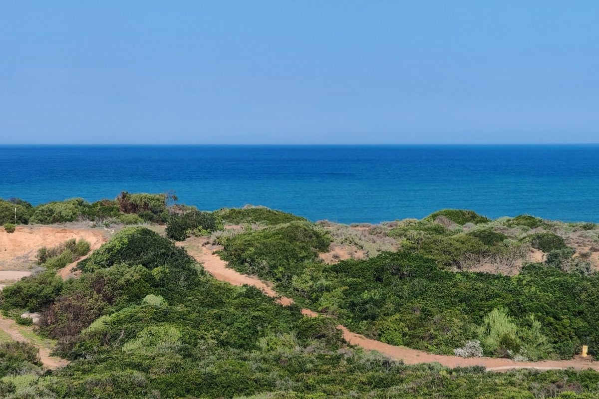 A scenic elevated view of the coastal landscape featuring native vegetation and direct ocean frontage.