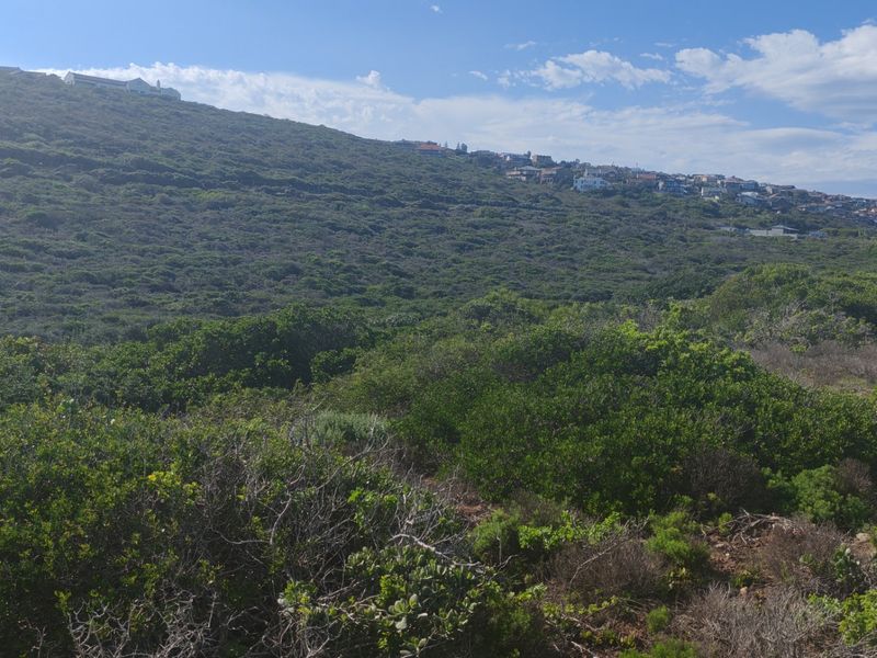 A scenic view of the surrounding hillside landscape and distant residential properties, showcasing the natural terrain of the vacant land.