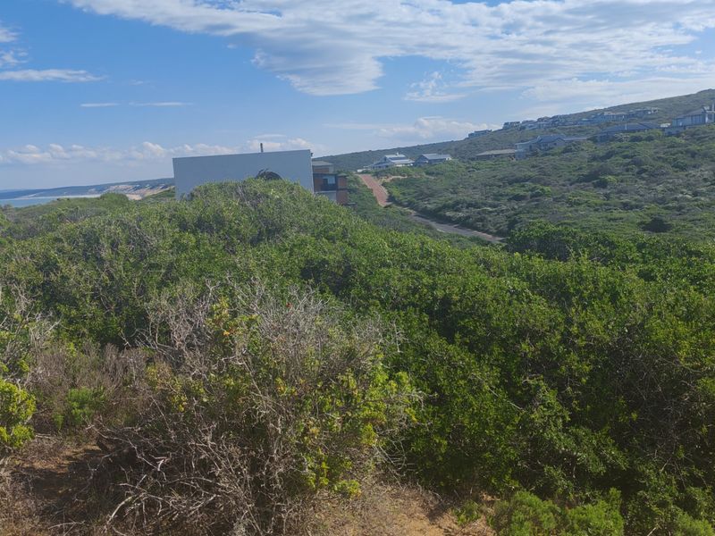 A scenic view of the coastal landscape and surrounding residential area, showcasing the natural vegetation and terrain of the vacant land.